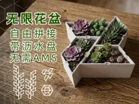 单个花盆，带沥水盘  0.2mm 层高, 2 层墙, 15% 填充