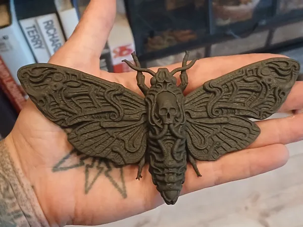 https://makerworld.bblmw.com/makerworld/model/US27c836e3588afa/design/bcb4cc6a50169189.jpg