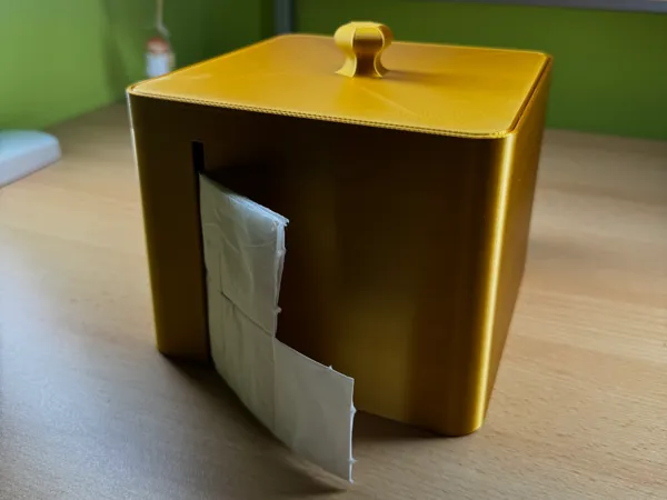 https://makerworld.bblmw.com/makerworld/model/US27cffec2409008/design/2025-09-22_8f468fbb96951.jpeg