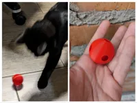 Jouet sonore pour chat (balle dans une balle) — photo 1