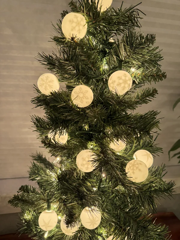 https://makerworld.bblmw.com/makerworld/model/US27d188dd4902f5/design/2023-12-05_4fae9412a22a2.jpg