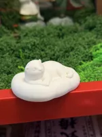 水獭睡觉觉