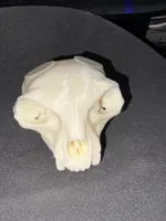 0.16mm layer, 2 walls, 15% infill