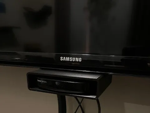 Roku Holder for Mounted TV