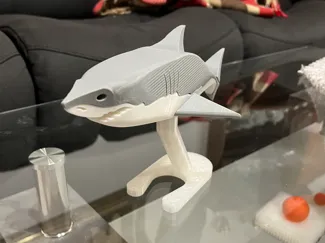 Shark