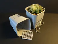 3 Pots