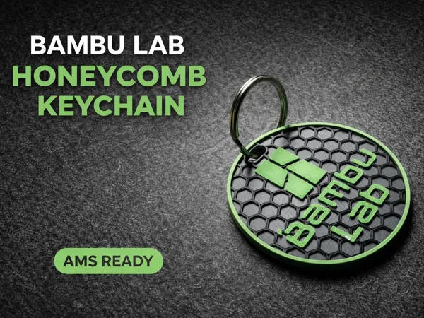 https://makerworld.bblmw.com/makerworld/model/US27dc205e7da07b/design/5d228ac4ea77e1df.jpeg
