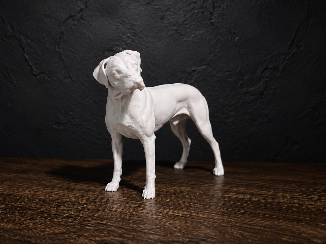 German Boxer - Dog - Animal - Decor