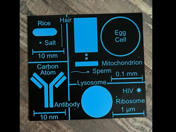 https://makerworld.bblmw.com/makerworld/model/US27e19474bef7a4/design/2024-07-31_b2311aa9ac03a.png