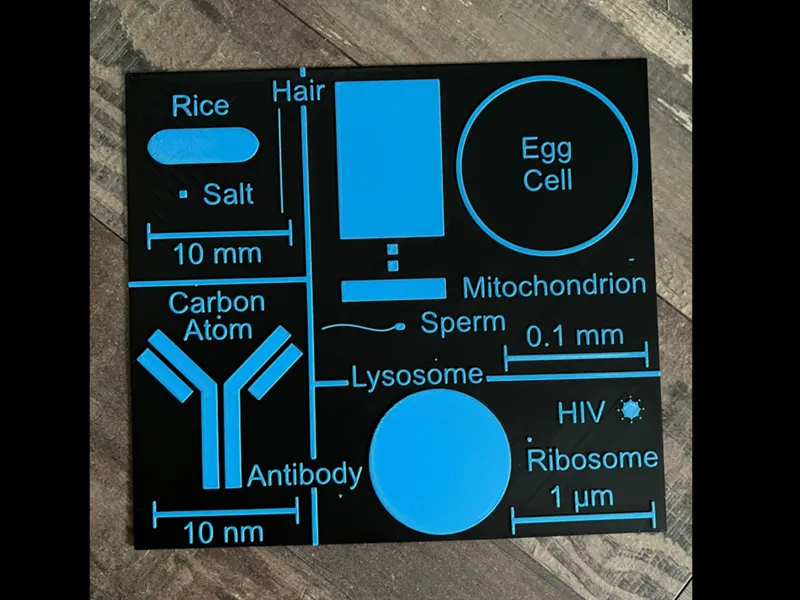 Biology Scale Visualization