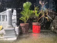 标准尺寸
