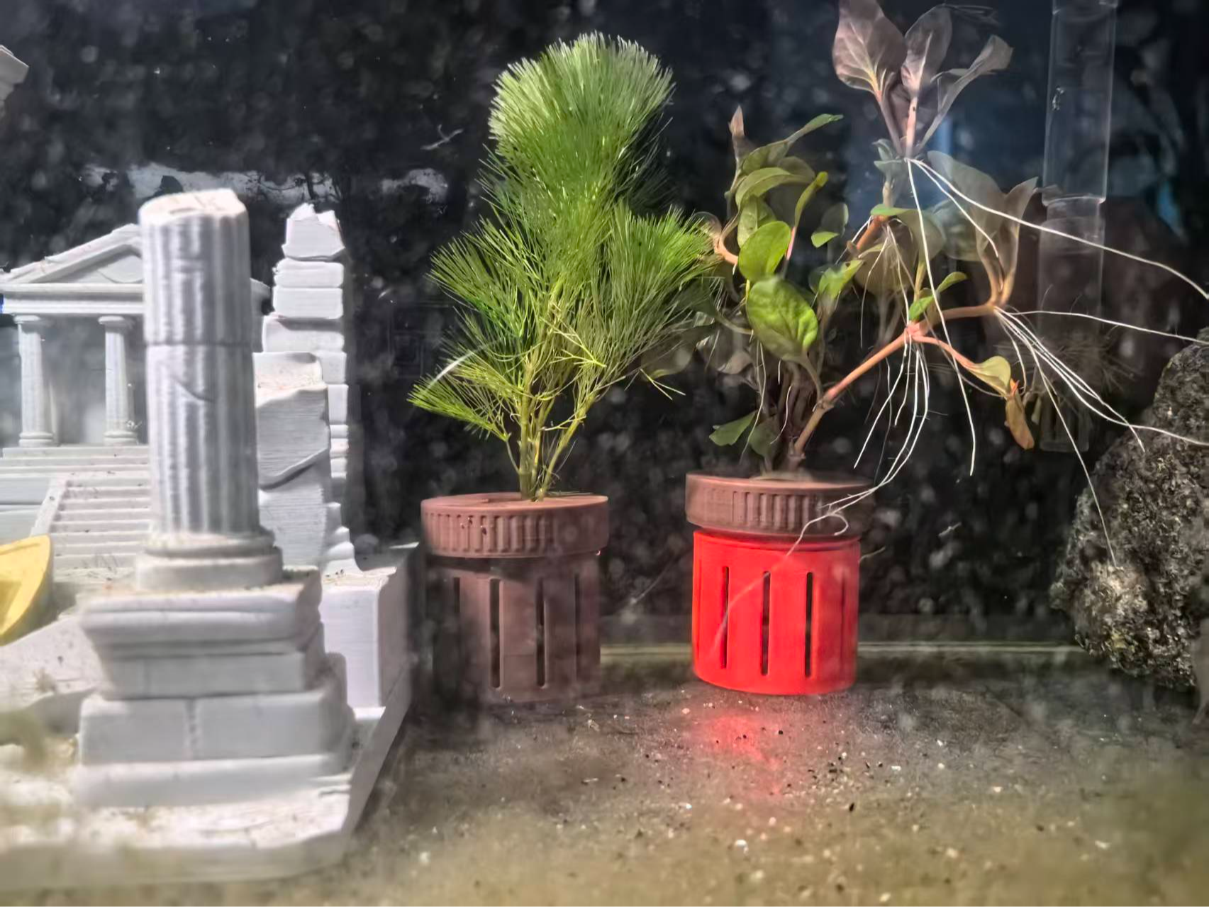 鱼缸水草定植环/种植杯/水草定植固定杯 