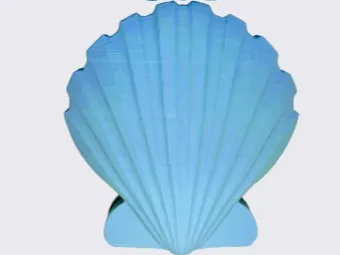 Seashell Towel Holder