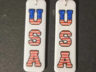 USA Earrings