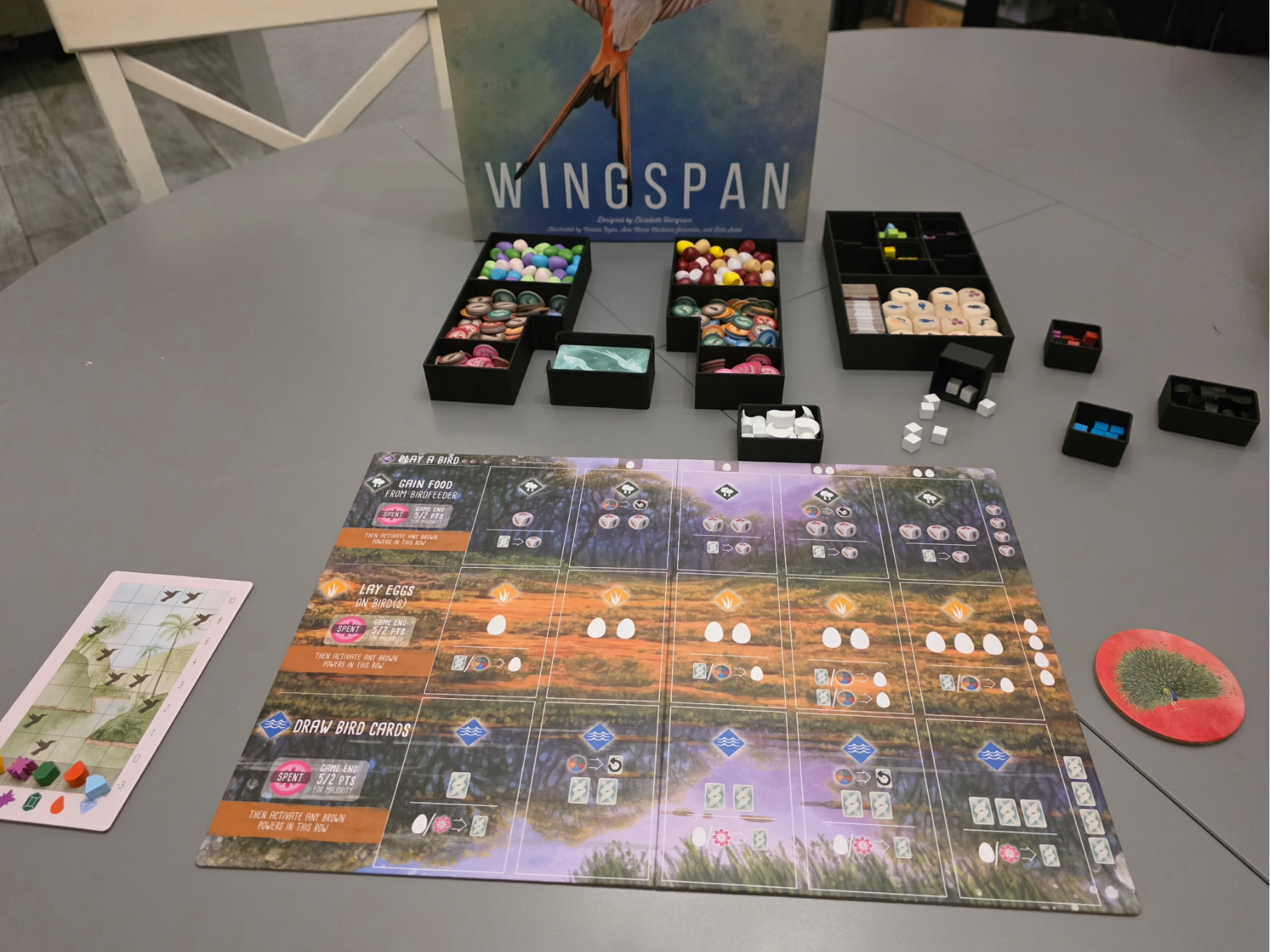 Wingspan - All Expansions organizer in base box