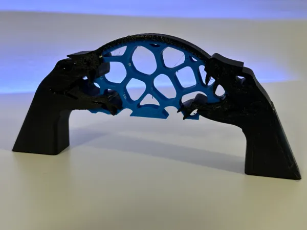 https://makerworld.bblmw.com/makerworld/model/US27f5ea699a3e17/design/2024-11-26_77d0fc55534dc8.jpeg