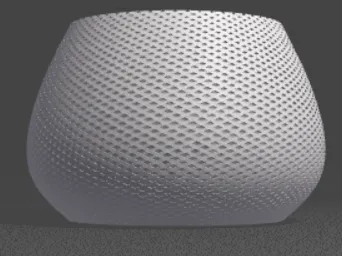 Flower Pot / Vase