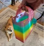 Gift Bag