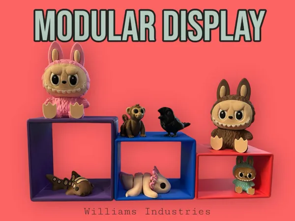 https://makerworld.bblmw.com/makerworld/model/US27fac52f3d1e36/design/2025-05-05_18e369d1a56b2.jpg