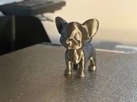 Petit chien miniature, impression rapide — photo 1