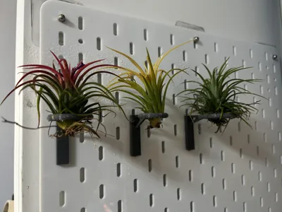 Air Plant - IKEA Skadis Pegboard Hook