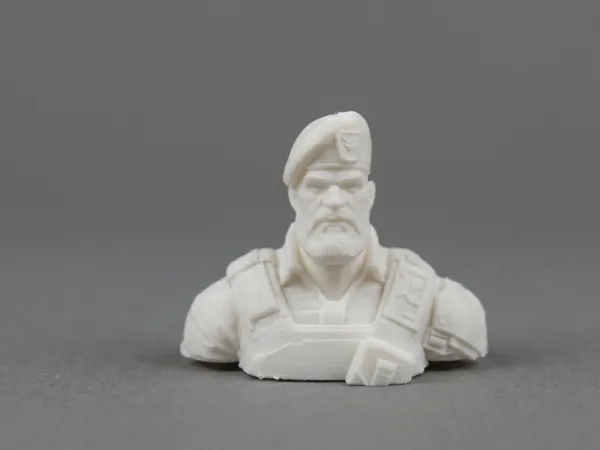 https://makerworld.bblmw.com/makerworld/model/US27ff07ea5f19fd/design/f92c9a50faf4e03e.png