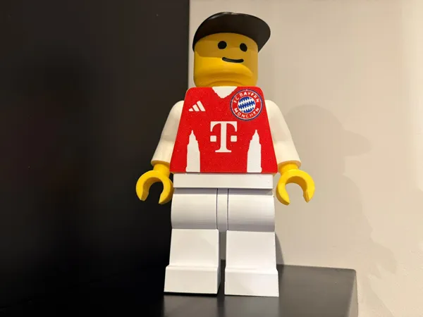 https://makerworld.bblmw.com/makerworld/model/US2802d1145dd4fe/design/ac07d2114a253f14.jpeg
