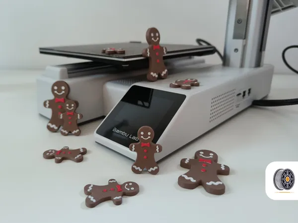 https://makerworld.bblmw.com/makerworld/model/US281157b1991737/design/2024-11-17_00487582d15ce.png