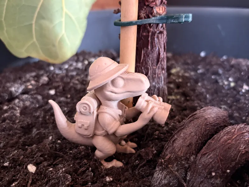 Dino Safari Explorer