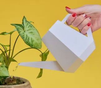 Plant watering Pot