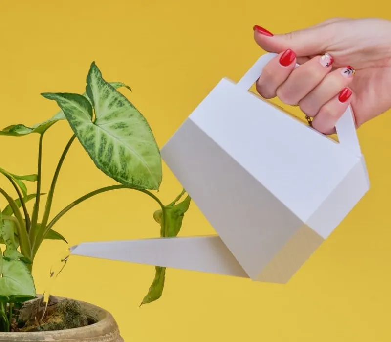 Plant watering Pot