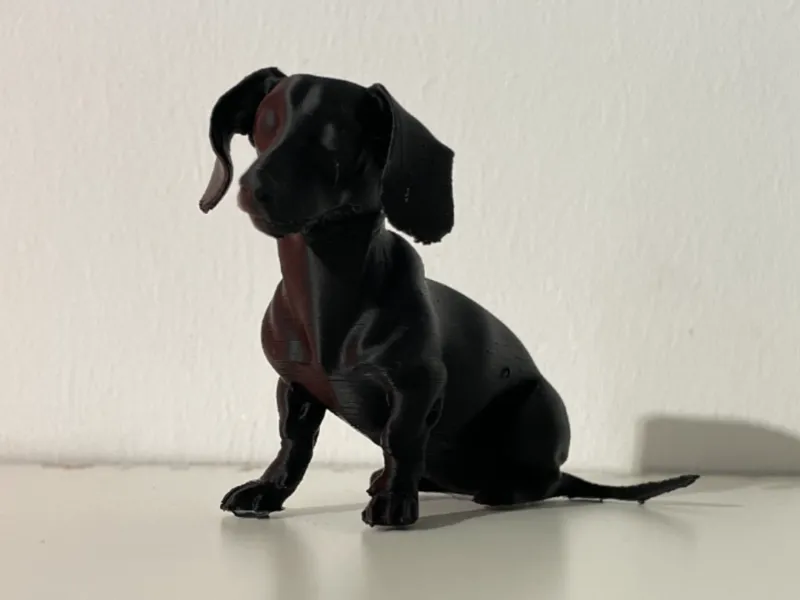 Miniature Dachshund