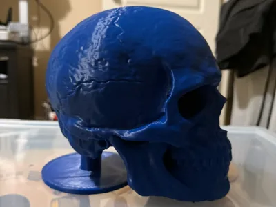Skull Desk Hat Stand