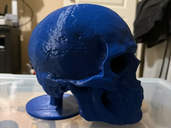 https://makerworld.bblmw.com/makerworld/model/US28194a3c9ef997/design/2025-02-22_09099e674242f.jpeg