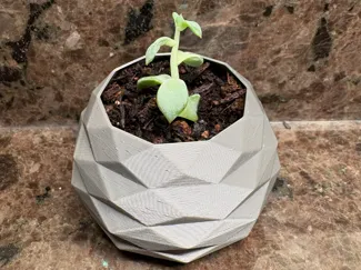 Low Poly Pot for Plants