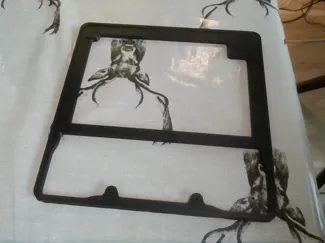 Dizzy fish frame