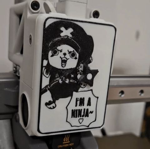 https://makerworld.bblmw.com/makerworld/model/US282645c3819138/design/2024-01-29_02723a2a6af7c.gif