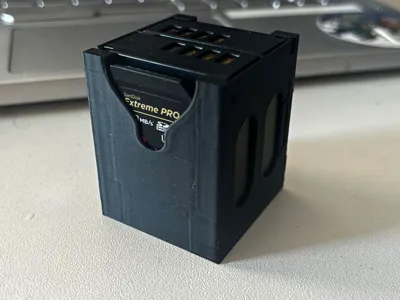 Fujifilm W126s Battery Holder with SD Cards