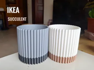 美學盆栽 適合IKEA SUCCULENT