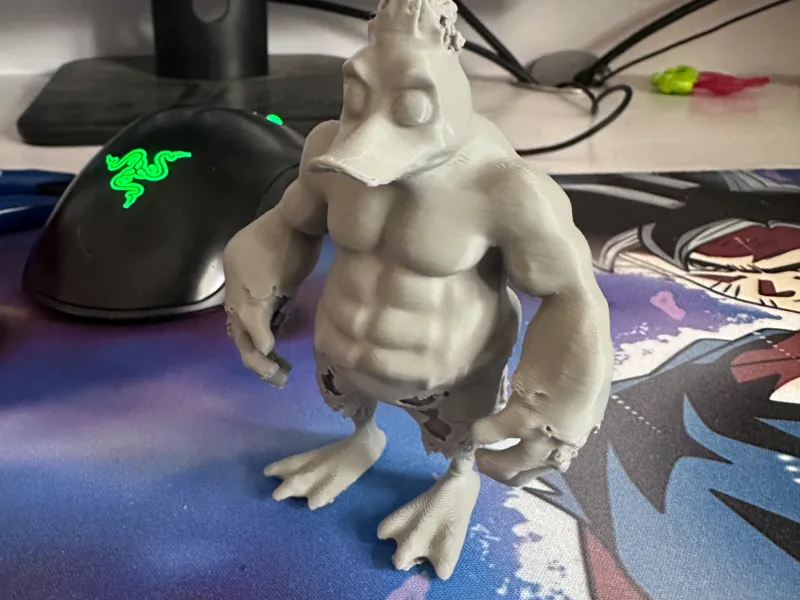 Body builder duck