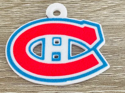 Montreal canadiens hockey team keychain