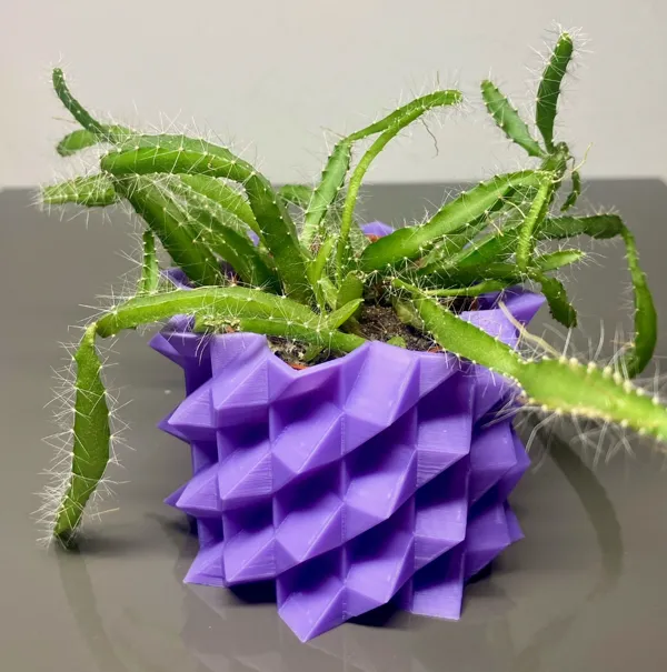 Pot à plante cristal