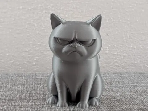 The Grumpy Cat – Rudeness Explained