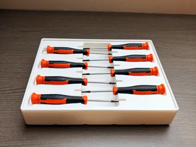 Tray for Werckmann precision screwdriver