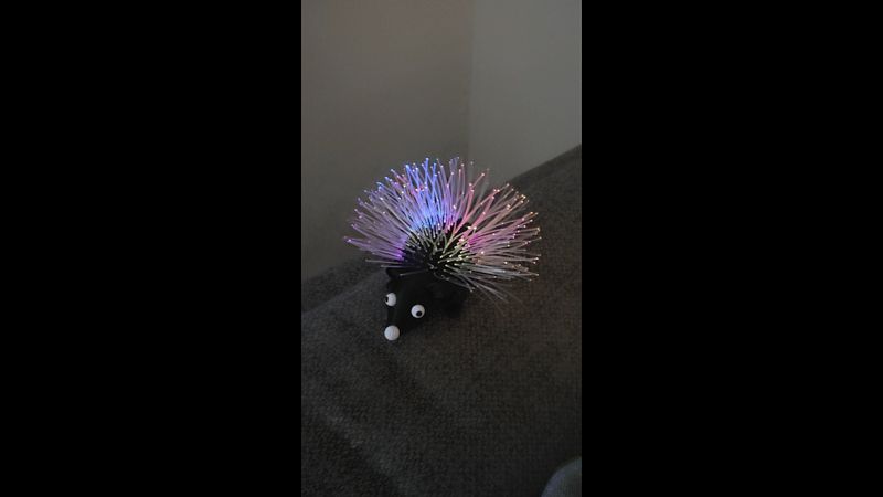 Spike The Bright Hedgehog