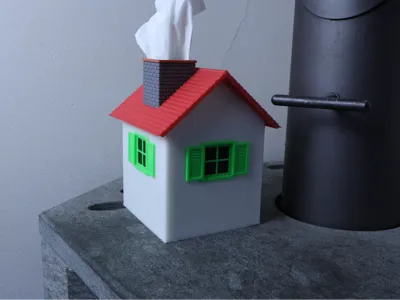 House-Style Tissue Box