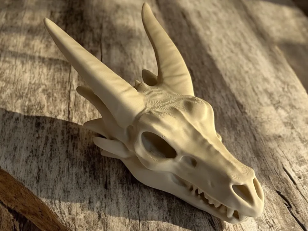 3Dプリント ドラゴン頭蓋骨 - 無料3Dモデル -MakerWorld