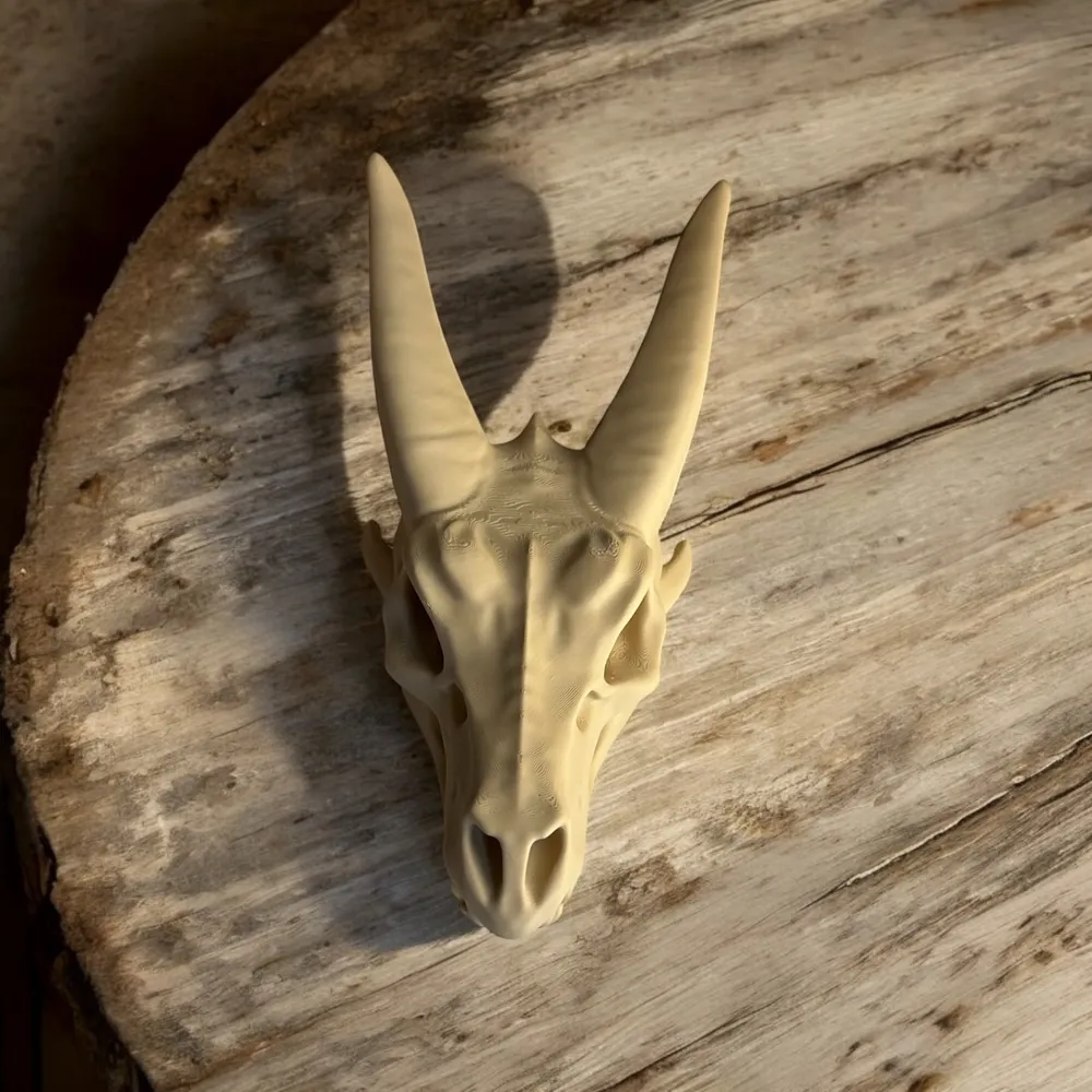 3Dプリント ドラゴン頭蓋骨 - 無料3Dモデル -MakerWorld