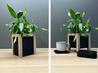 Coasted Plants #1 - NO AMS