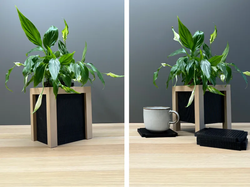 Coasted Plants #1 - NO AMS